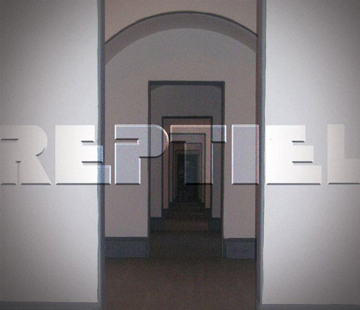 REPTIEL 1st album cover