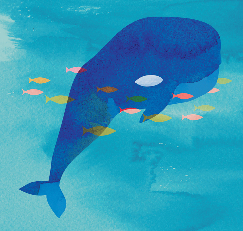 Blue Whale artwork by Alissa Mach