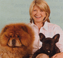 image of Martha Stewart with her dogs
