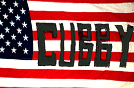 photographic image of the Cubby flag