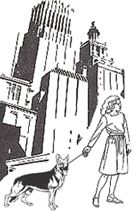 clip art of a woman walking a dog in front of a big building